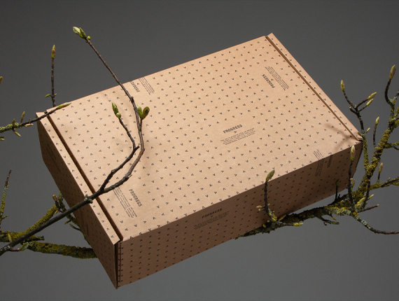 affordable auto lock boxes