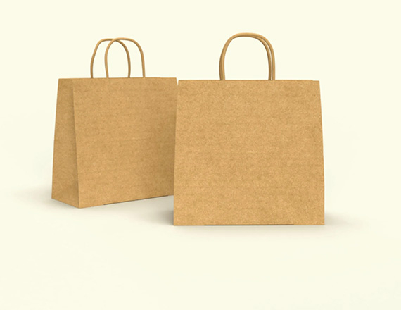 brown paper bags with handles