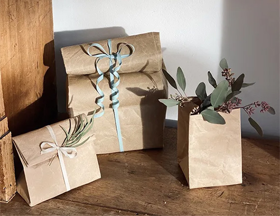 Brown Paper Bags