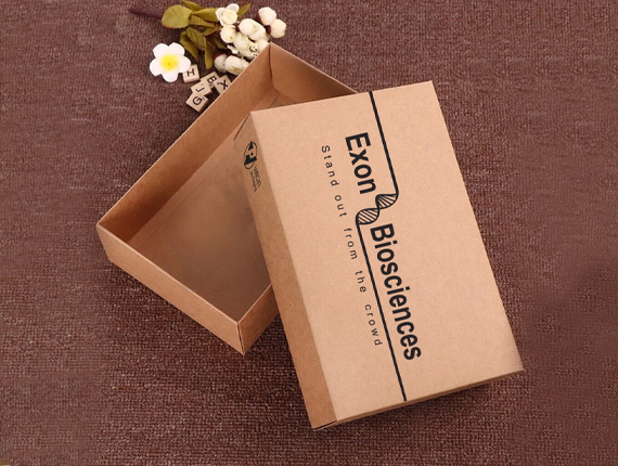 bulk kraft boxes with lids