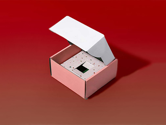cardboard box with insert