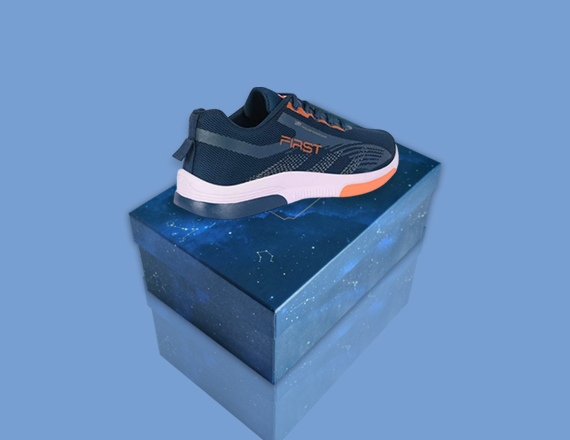 cardboard boxes with shoe