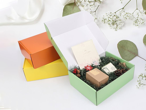 cardboard insert for packaging