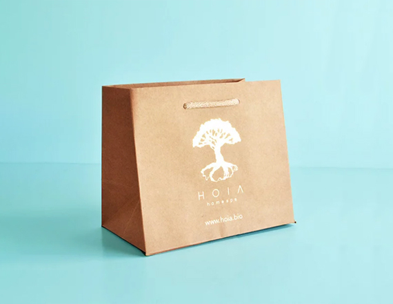 kraft bags with handles